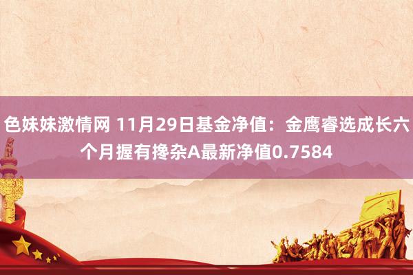 色妹妹激情网 11月29日基金净值：金鹰睿选成长六个月握有搀杂A最新净值0.7584