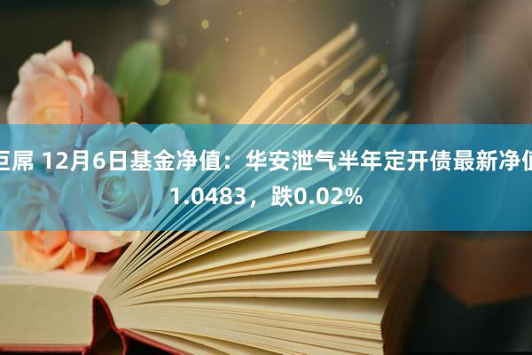 巨屌 12月6日基金净值：华安泄气半年定开债最新净值1.0483，跌0.02%