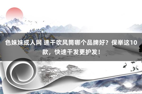 色妹妹成人网 速干吹风筒哪个品牌好？保举这10款，快速干发更护发！